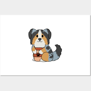 Australian Shepherd Coffee Posters and Art